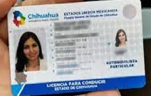 anverso licencia automovilista particular chihuahua
