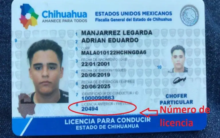 Licencia de conducir en Chihuahua 2021 】☝ REPUVE
