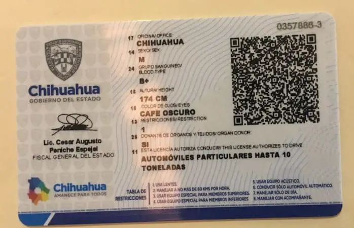 reverso licencia automovilista particular chihuahua