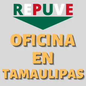 oficina repuve tamaulipas
