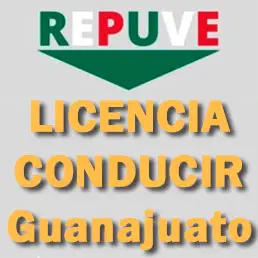 Licencia Guanajuato