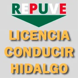 Licencia conducir Hidalgo