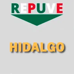 REPUVE Hidalgo